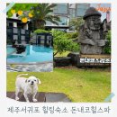 돈내코힐 리조트 | 제주서귀포 뷰맛집 힐링숙소 돈내코힐스파리조트 후기