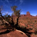 모뉴먼트 이미지