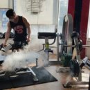 앨바트로 복싱 이미지