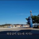 해돋이나무
