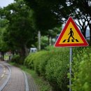 평양초계탕 막국수 이미지