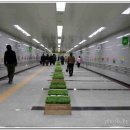 대전 지하철 개통 이미지