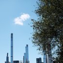 톡톡생활용품 DC마트 | 뉴욕 현지 생활 후기 (미국 인턴 업무, 워라밸, 문화, 팁) [해외일경험지원사업 서포터즈]