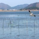 오감통 실내공연장 이미지