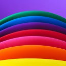비비드vivid 티스토리