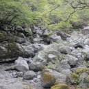 제주의사계 이미지