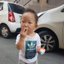 주형이네과일