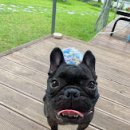 도기다이닝 이미지