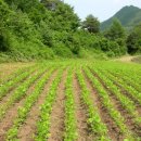 마음엔뜰 이미지