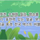 참부동산행정사 이미지