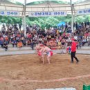 자인계정숲(씨름장) 이미지