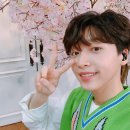 라이브하이 이미지