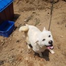 효덕새싹길 이미지