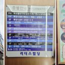 수달앤쥬 이미지