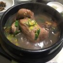 오색산나물