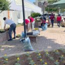 온양1동 시민로 이미지