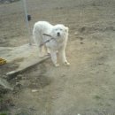 우승농장 이미지