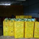 늘푸른농원 이미지