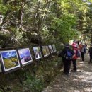 피아골 단풍공원 이미지