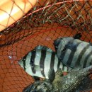 상동바다낚시터