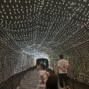 광명산업 | 아이들과 광명동굴 다녀온 후기｜유모차 반입 여부, 할인방법, 준비물까지