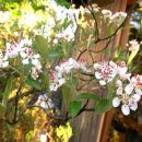 마리의냉장고 이미지