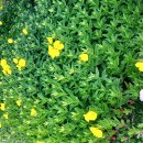 창북초교 이미지