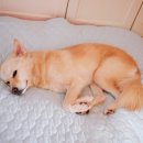 훈이종합유통