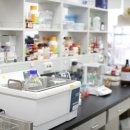 와이디바이오 이미지