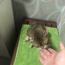 상아동물병원 이미지