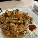 목화반점 이미지