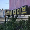여별 | 제주도 스킨스쿠버 리뷰 스쿠비다이브에서 외돌개 가린여 후기