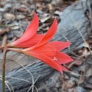 기화농장 이미지