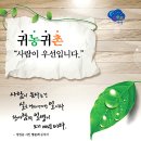 곡성-157 이미지