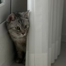 햇살가득동물병원 이미지