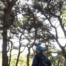 효창공원후문 이미지