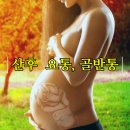 산후 요통, 골반통의 치료 @대전 둔산튼튼한의원