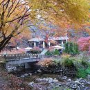 신월동192 이미지