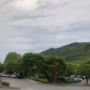 화명수목원관리사업소 | 부산 아이들과 가기 좋은 화명수목원,화명장미원 개화상태