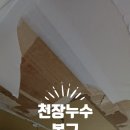 면목동-184 | 노원구 상계주공7단지아파트 천장누수 석고교체 복구작업 후기