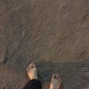 사파정병운동장 이미지