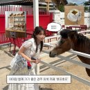 카페후프 | [경주 황리단길 카페 추천] 카페 안 말이 있는 경주 이색 카페 ‘후프후프’ 내돈내산 후기 🐴