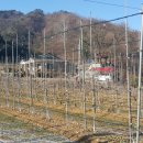 세호농장 이미지