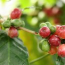 도동농장 이미지