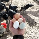 태산전자 이미지