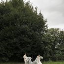 11500-16-04-45 | [W-04 결혼준비] 대전 웨딩촬영 '풍경사진관' 견적 상담 후기