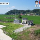 (근린생활시설) 토지159평, 근생8평, 창고6평 💰매매가격 1억3천 이미지
