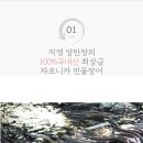 세일수산