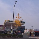 부영셀프세차장 이미지