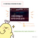 [대외활동] 예술경영지원센터 아트모아 아티 기자단 후기 (활동내용, 콘텐츠, 운영)